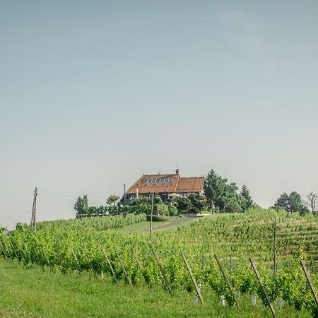 Taverna & Wine Jeruzalem Ivanjkovci Exterior foto